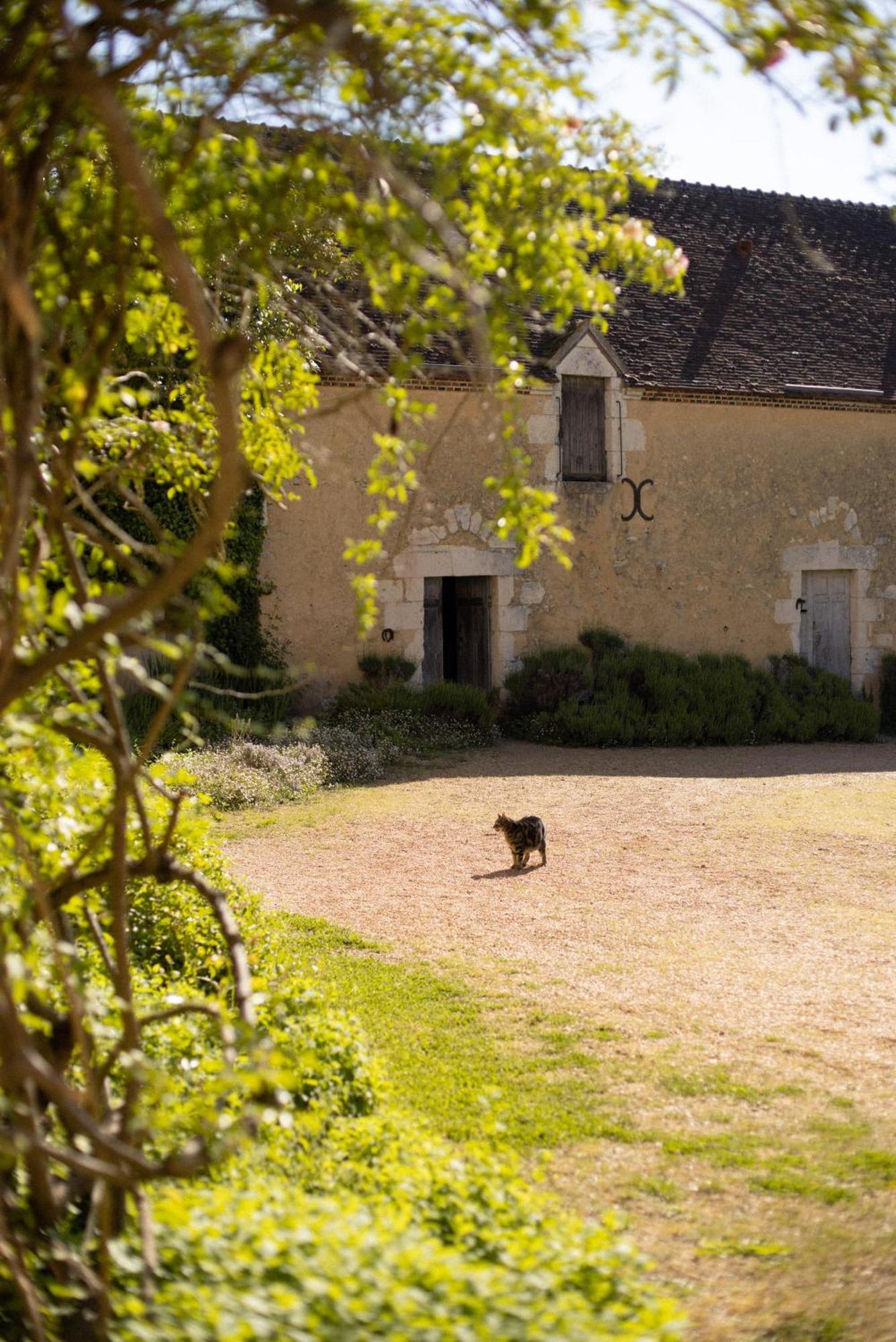 Hotel Le Manoir Du Plessis Dance  Esterno foto